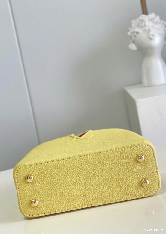 Firstbags ru review LOUIS CAPUCINES VUITTON MINI 0729